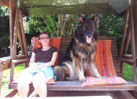 Husky, Hundebetreuung, Hundepension, Hundetagessttte, Hundesitter, Hundehotel, HUTA, Ampfing, Mhldorf, Waldkraiburg, Burghausen, 
Alttting, Dorfen, Wasserburg, Landshut