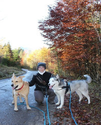Husky, Hundebetreuung, Hundepension, Hundetagessttte, Hundesitter, Hundehotel, HUTA, Ampfing, Mhldorf, Waldkraiburg, Burghausen, 
Alttting, Dorfen, Wasserburg, Landshut
