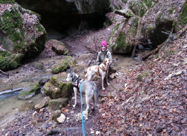 Husky, Hundebetreuung, Hundepension, Hundetagessttte, Hundesitter, Hundehotel, HUTA, Ampfing, Mhldorf, Waldkraiburg, Burghausen, 
Alttting, Dorfen, Wasserburg, Landshut