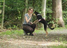Husky, Hundebetreuung, Hundepension, Hundetagessttte, Hundesitter, Hundehotel, HUTA, Ampfing, Mhldorf, Waldkraiburg, Burghausen, 
Alttting, Dorfen, Wasserburg, Landshut