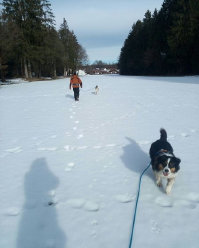 Husky, Hundebetreuung, Hundepension, Hundetagessttte, Hundesitter, Hundehotel, HUTA, Ampfing, Mhldorf, Waldkraiburg, Burghausen, 
Alttting, Dorfen, Wasserburg, Landshut